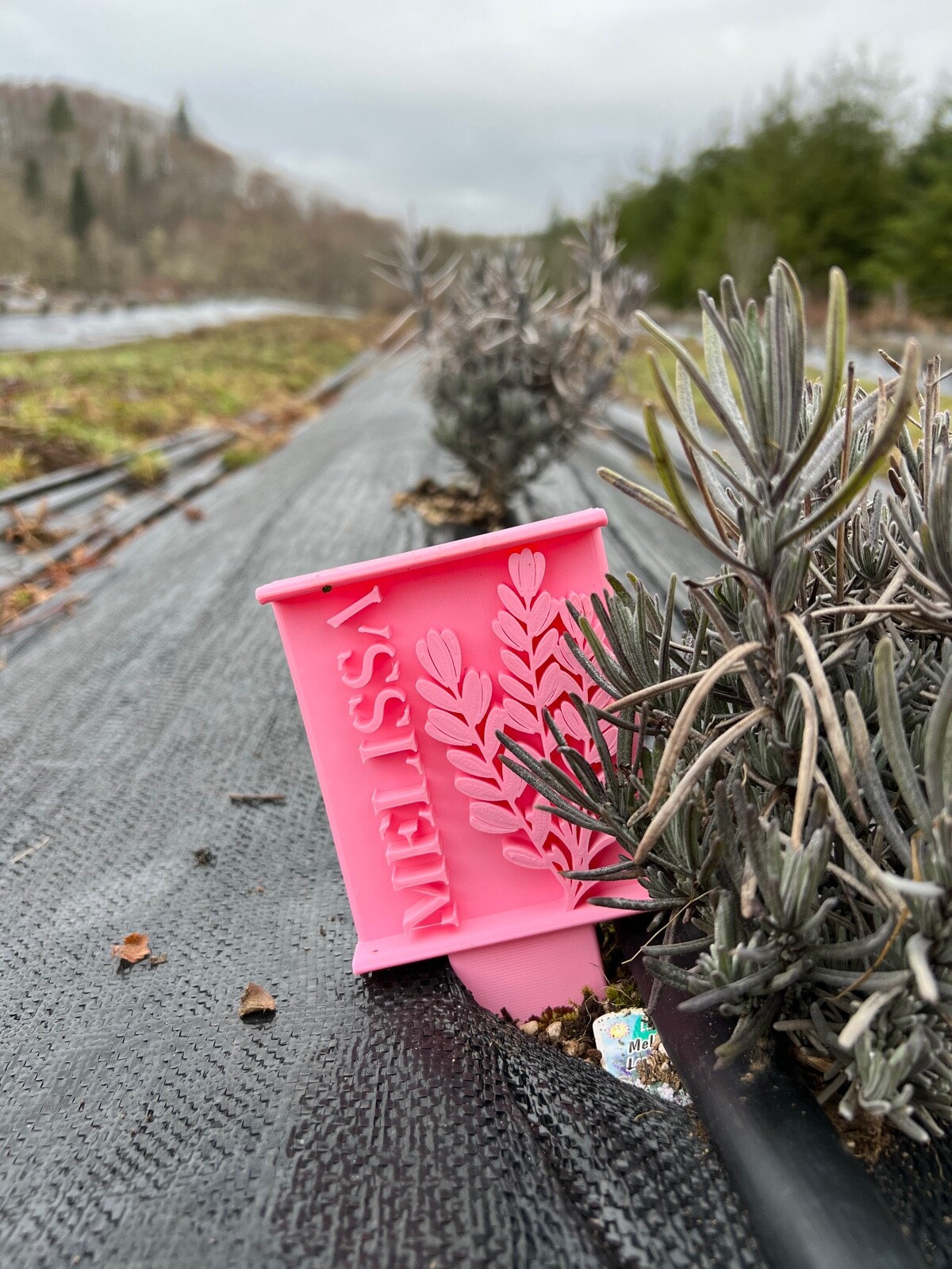 Lavender Garden Row Tags Any Variety or Cultivar 3d Printed Custom Colors gallery