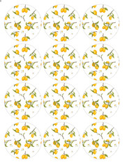 12 count Lemon Edible Image rounds, Wafer paper, pre cut choose sz