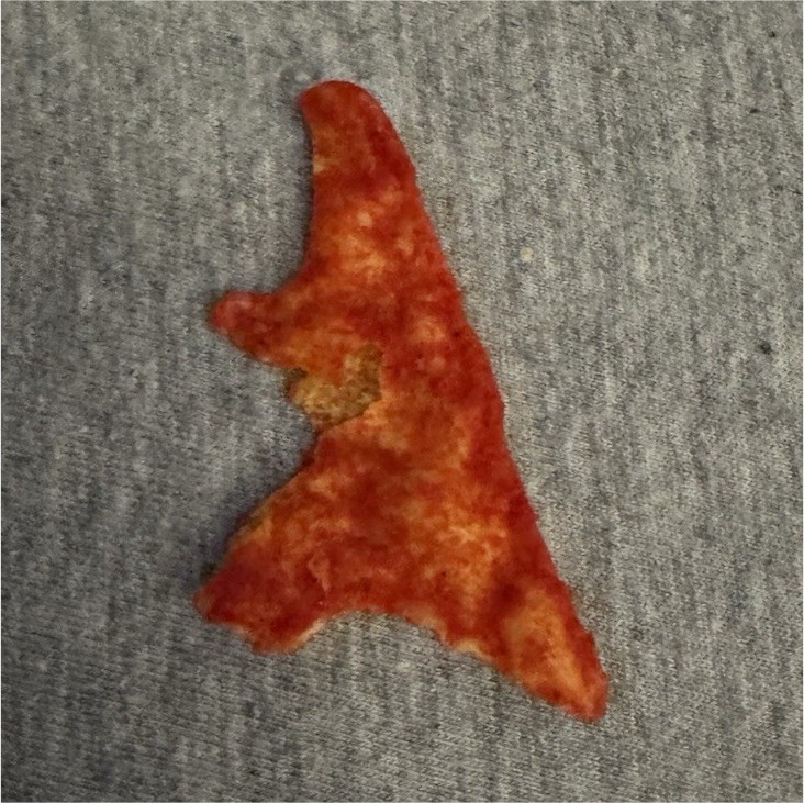 Single Red/Chip Piece -Single Chip Godzilla shape gallery