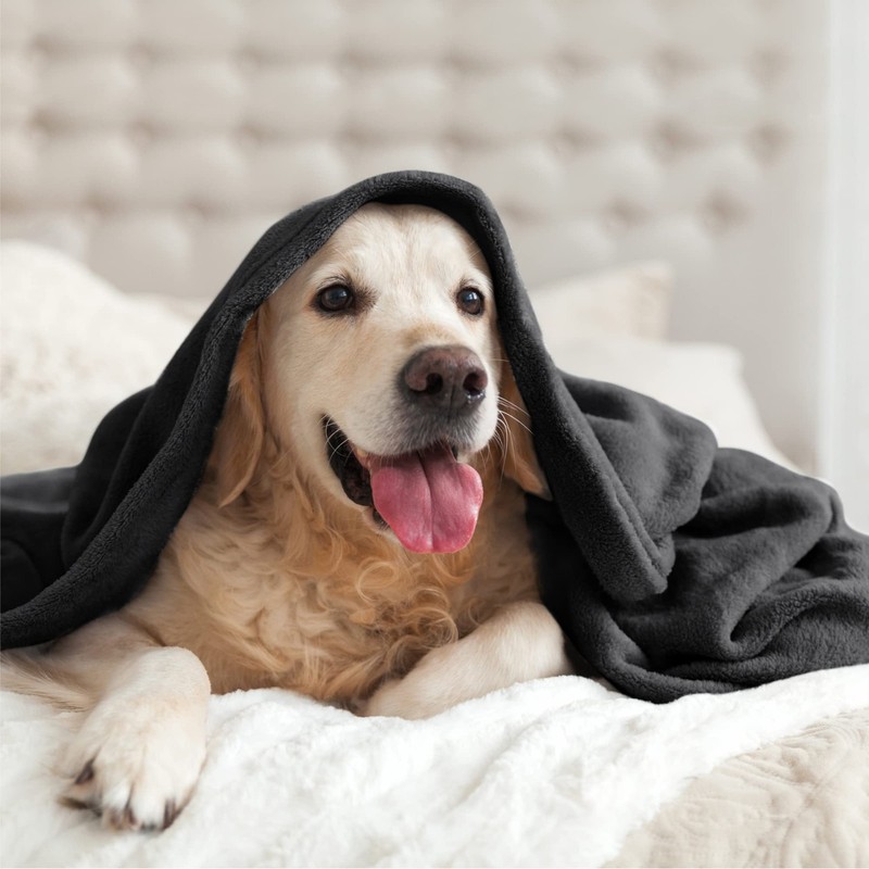 Fleece Blanket Black Throw Blankets for Couch & Bed, Luxury Plush Cozy Fuzzy gallery