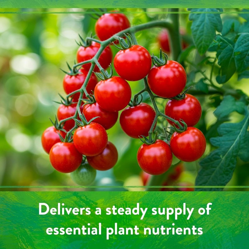 Down To Earth All Purpose Tomato & Vegetable Mix 4-6-2 Plant Food, 40 lb Bag gallery