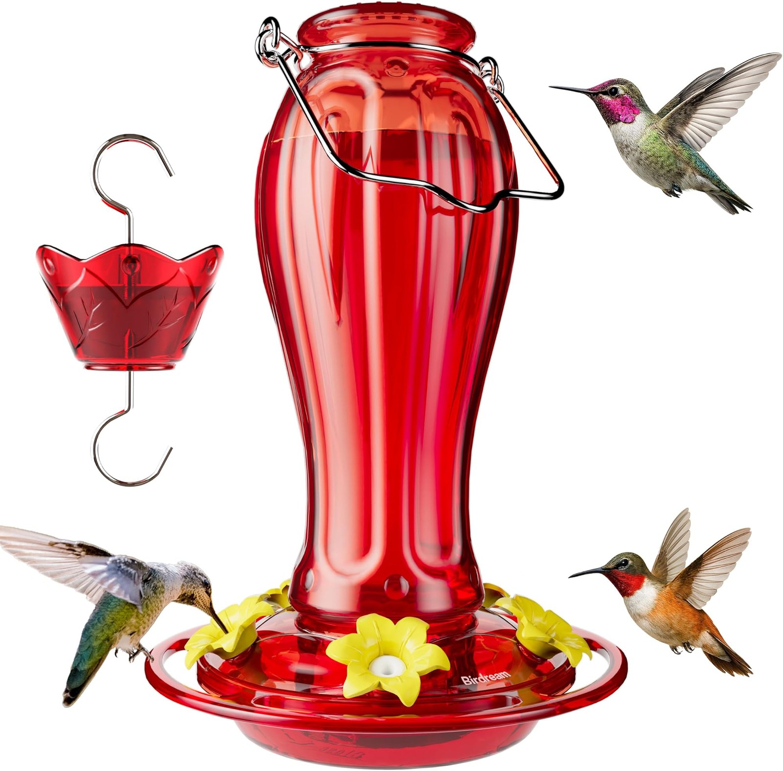 Birdream Glass Hummingbird Feeder for Outdoors, 18oz Hanging Hummingbird Feed... gallery