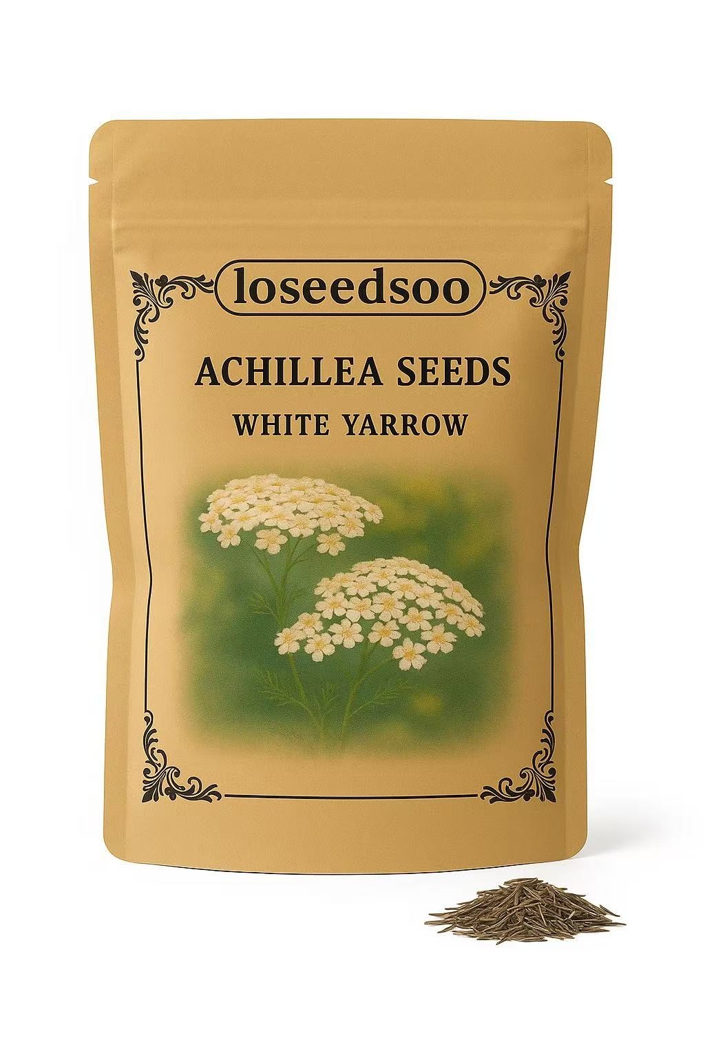 20000+ White Yarrow Seeds, Native Perennial Wildflower Plant Seed for Gardening gallery