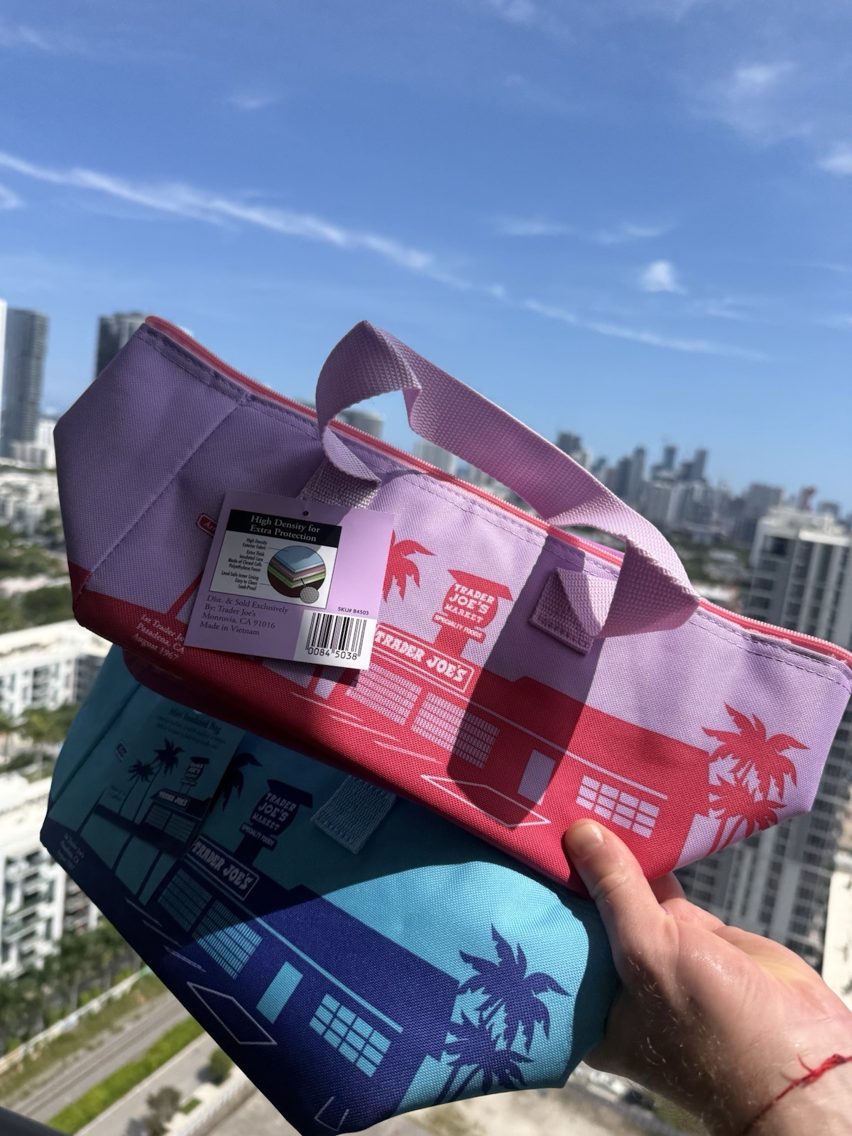 Trader Joe’s 2026 Summer Mini Insulated Tote Bags Set of 6 NWT Authentic gallery
