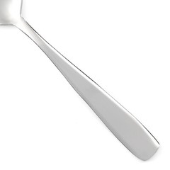 Oneida CANNON Stainless Plain GLOSSY Shiny Finish Silverware CHOICE Flatware