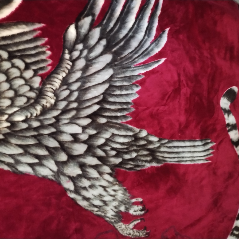 World Class Mink Blanket Eagle and Tiger Thick Super Soft Warm Heavy 82 x 93 In gallery