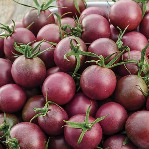 Black Cherry Tomato Seeds | Heirloom / Non-GMO | Free Shipping | Seed Store 1028 gallery