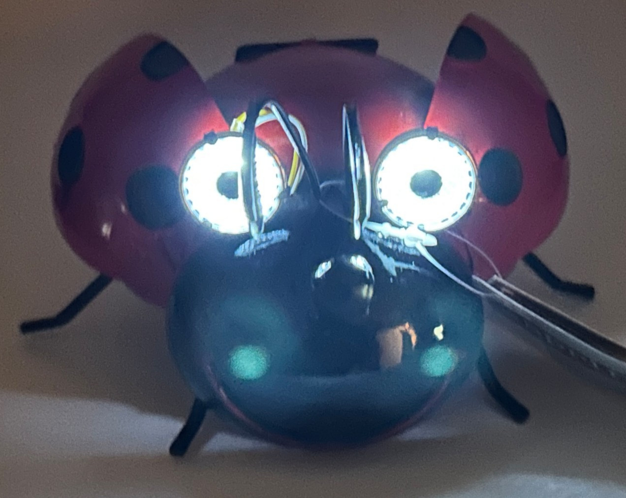 Lawn and Garden Solar Powered Adorable Lady Bug Yard Decoration gallery