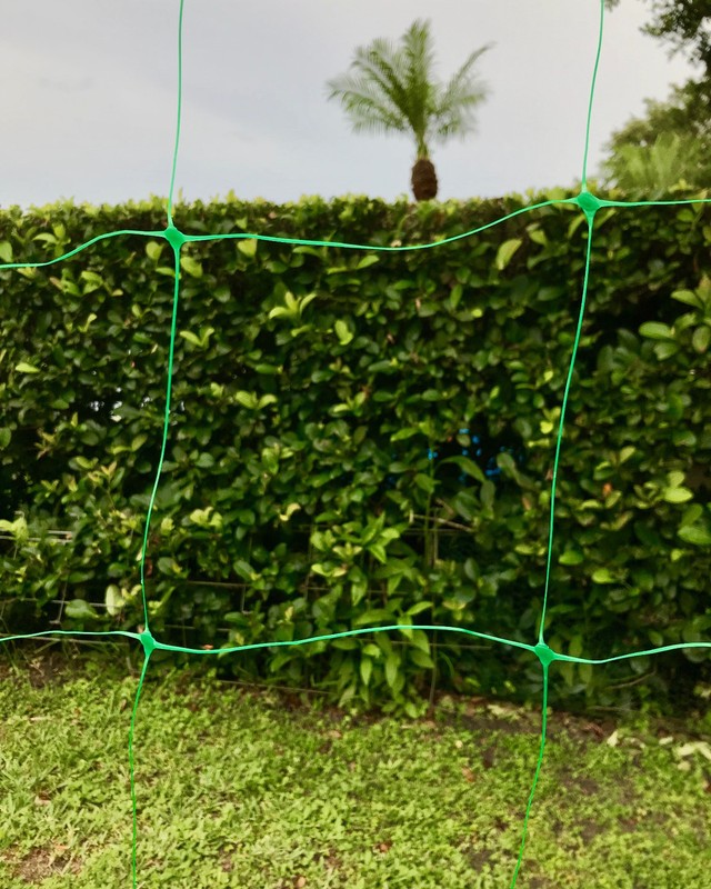 Green Plastic Trellis Netting for Climbing Plants - COMMERCIAL GRADE Trellis Net gallery