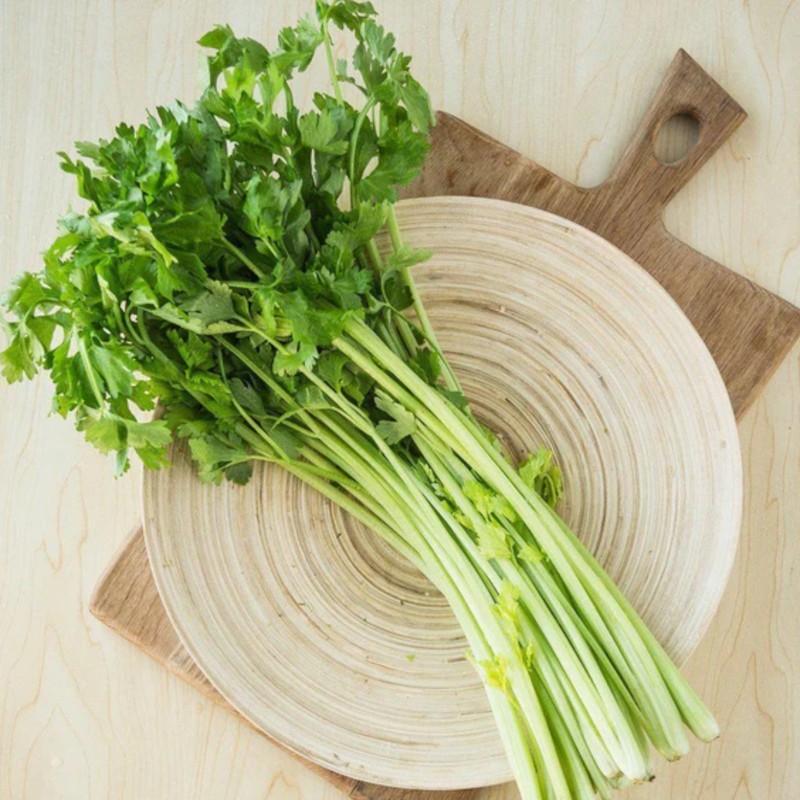 3000 Chinese Celery Seeds Small Leaf Celery Herb Seeds for Home Garden gallery
