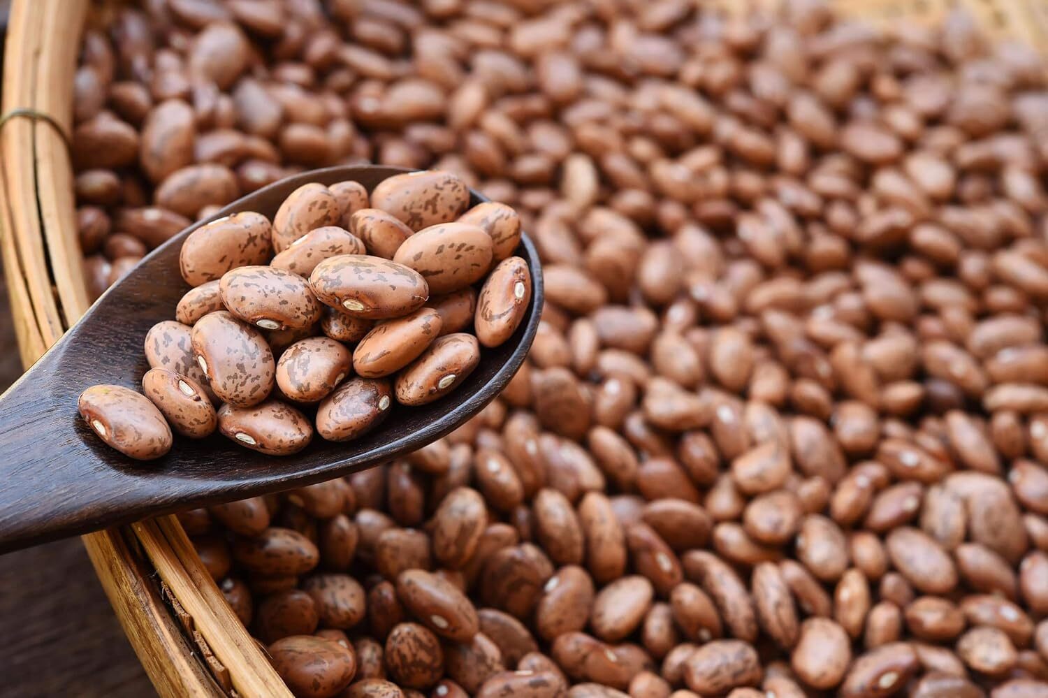 Organic Pinto Beans – Sproutable, Non-GMO, Kosher, Raw, Vegan – by Food to Live gallery