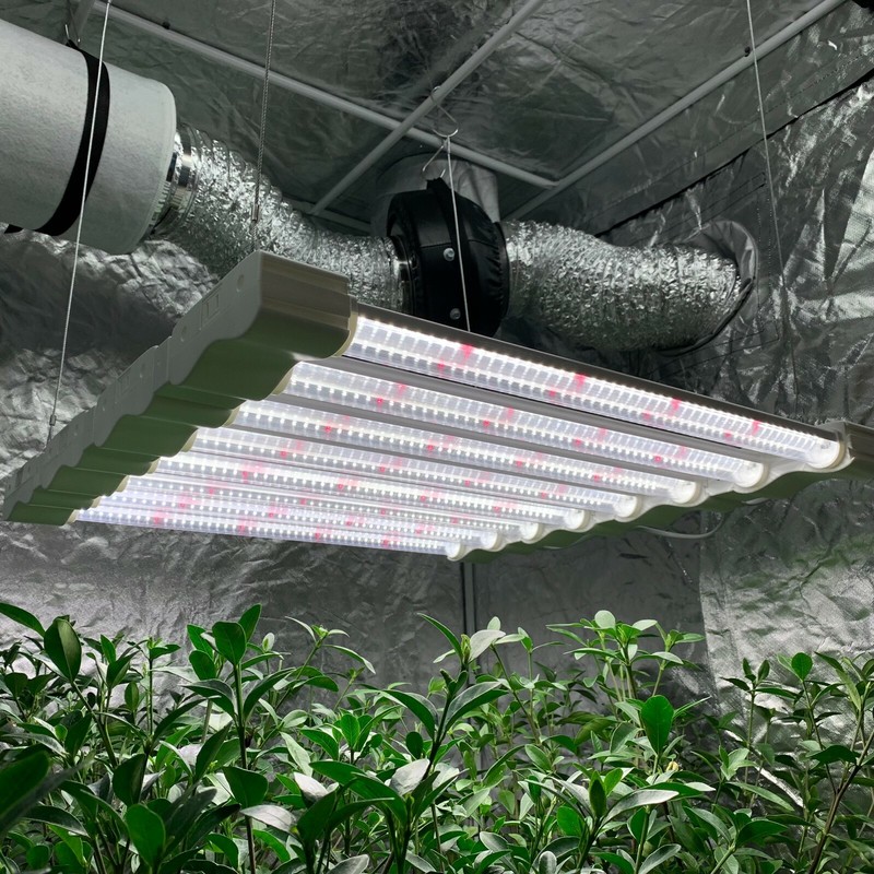 LED Grow Light Full Spectrum Linkable Seedling Veg Hydroponic Growing Lamp gallery