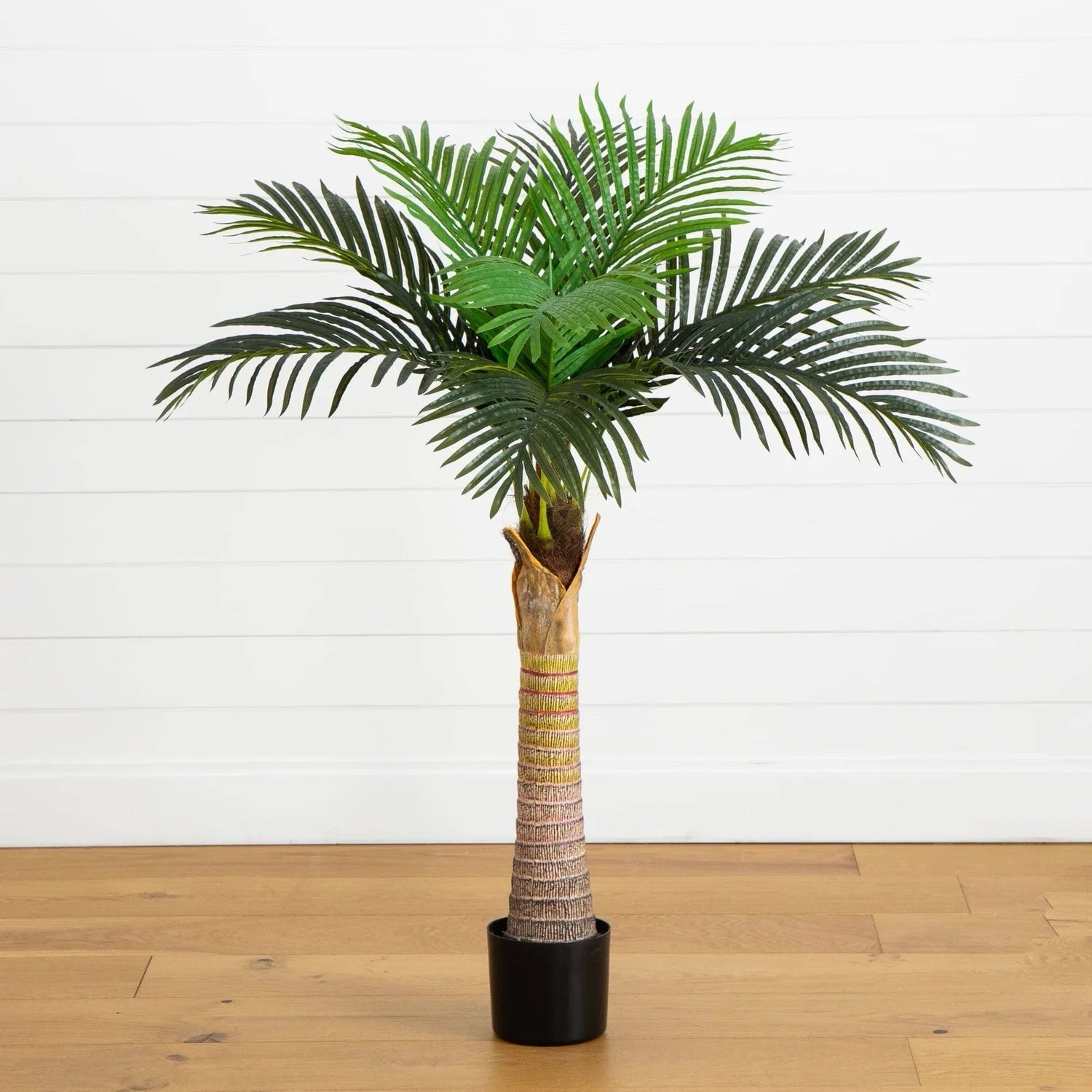4’ Artificial Coconut Palm Tree. Retail $132 gallery