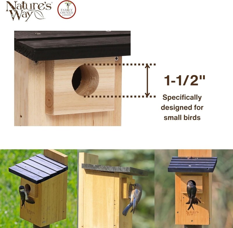 Cedar Bluebird House with Viewing Window & Predator Guard - 12" Tall gallery