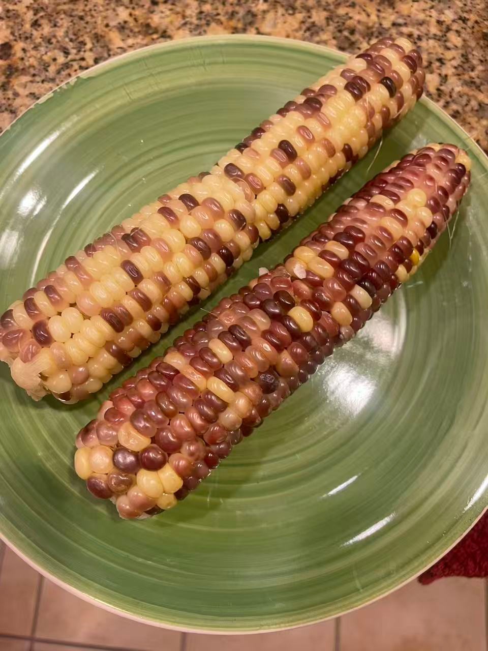 Organic Sweet Sticky Waxy Mixed Variety Glutinous Corn Non-GMO 糯玉米 gallery