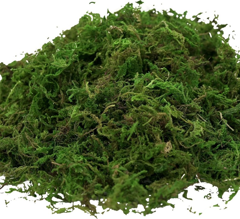 Versatile Artificial Moss 16oz - Perfect for Fairy Gardens & Floral Arrangements gallery