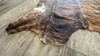 Cowhide Rug Brindle Tricolor 62"x69" (5.2x5.8 ft) | Premium Quality Hide #007 gallery