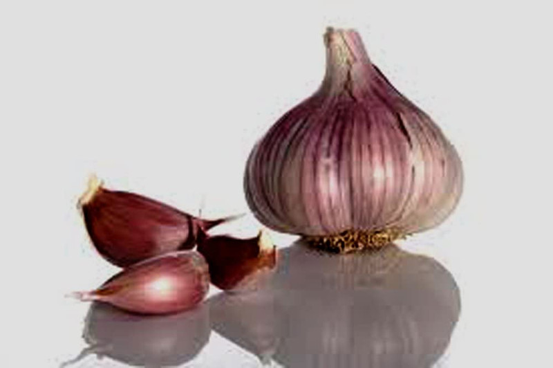 Garlic Bulb (3 Pack) Fresh Siberian Hardneck for Planting and Growing Your Own gallery