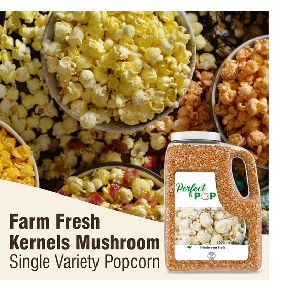 8 lb Extra Large Mushroom Popcorn Kernels gallery