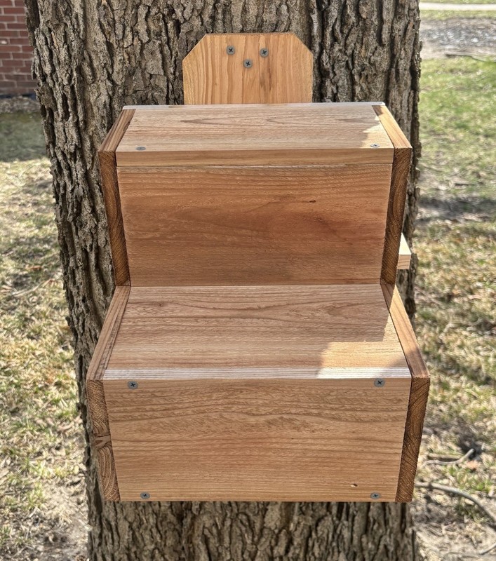 Large Solid Cedar Backyard Squirrel House Nesting Box - Wooden W Preditor Guard gallery