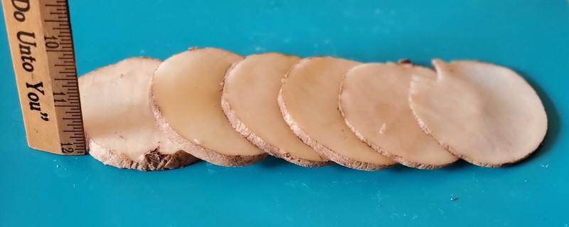 Mandoline Slicer gallery