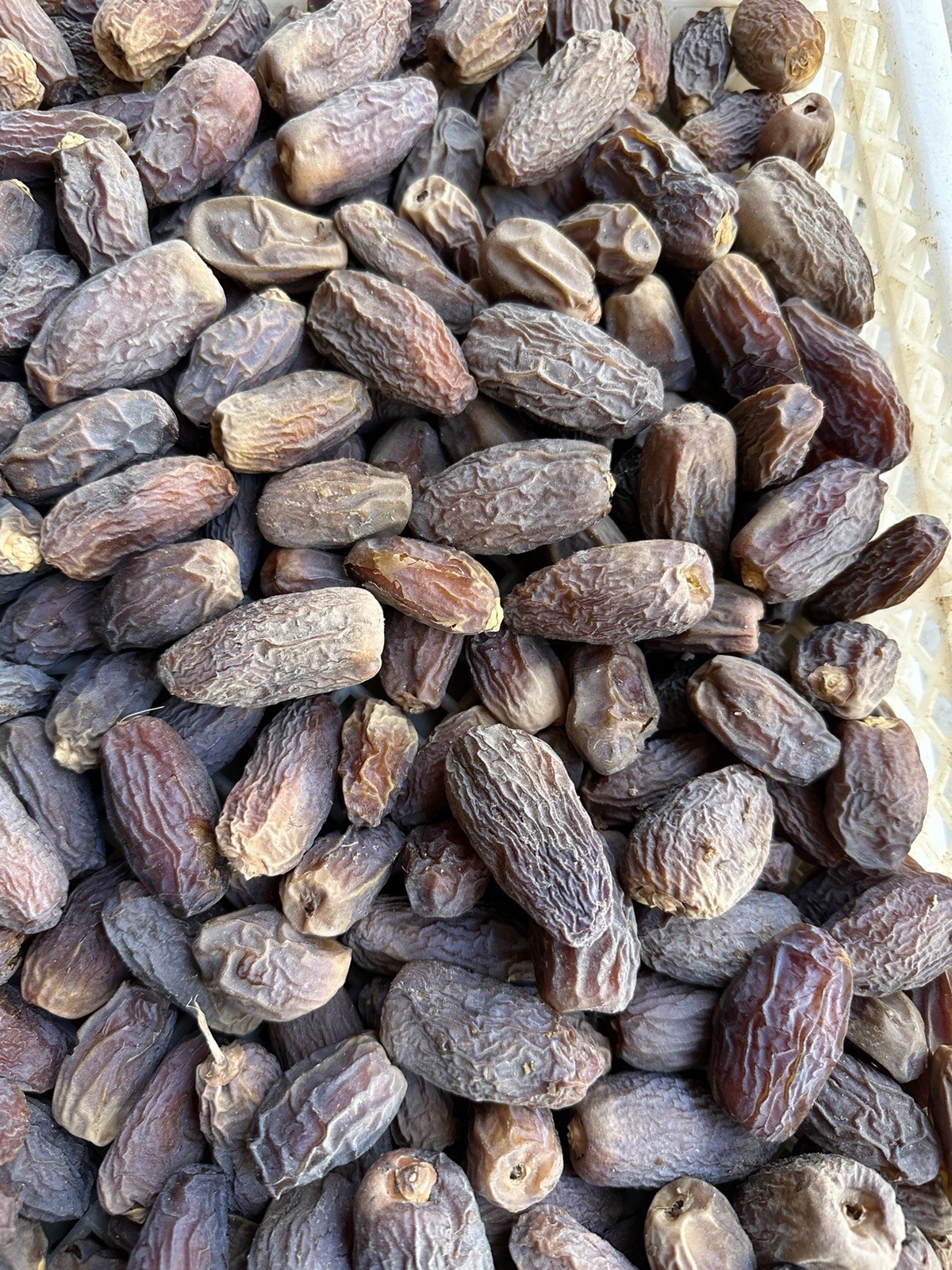 5 LB VERY DRY CALIFORNIA DATES.. FREE FAST SHIPPING. GROWN NATURALLY (KHOSHAF) gallery