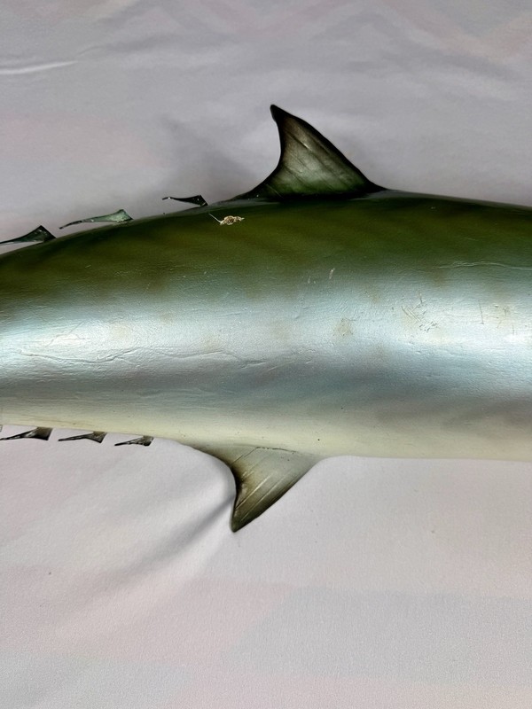 Kingfish - Half Mount Fish Replica - 32 Inches Long gallery