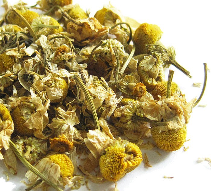 German Chamomile - 'Matricaria chamomilla', 300 seeds or Dry Herb, non GMO gallery