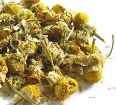 German Chamomile – ‘Matricaria chamomilla’, 300 seeds or Dry Herb, non GMO