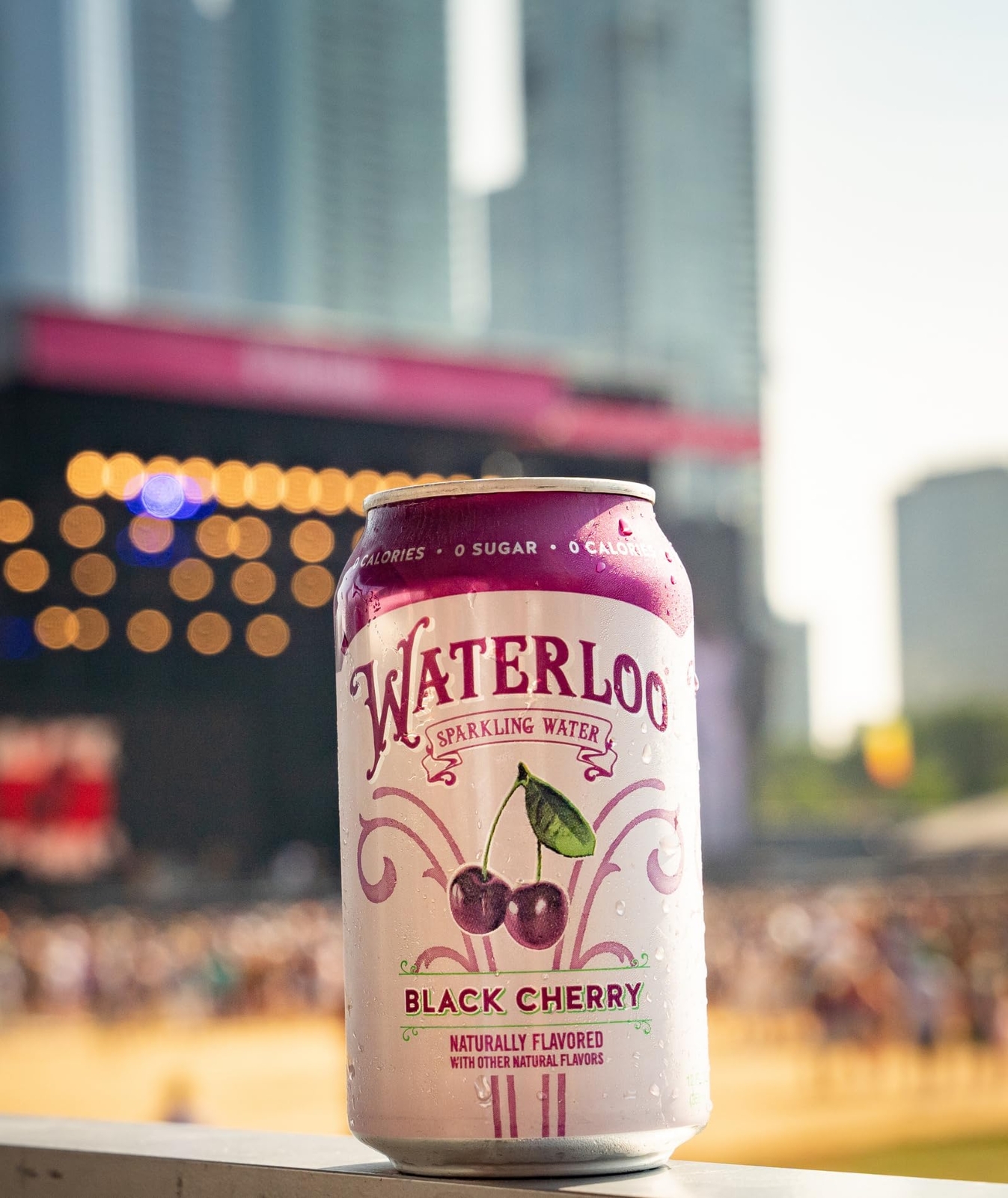 Waterloo Sparkling Water Black Cherry Naturally Flavored 12 Fl Oz Can Pack of 12 gallery