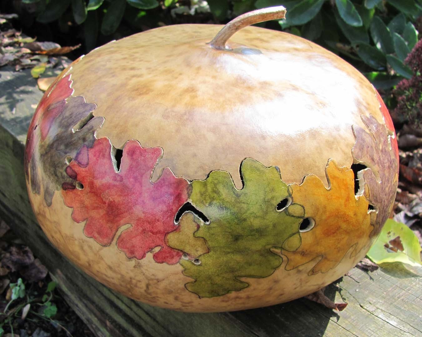 WORLDS LARGEST GOURD * UP TO 5 FEET ACROSS* ARTS & CRAFTS* COMPETITION WINNER * gallery