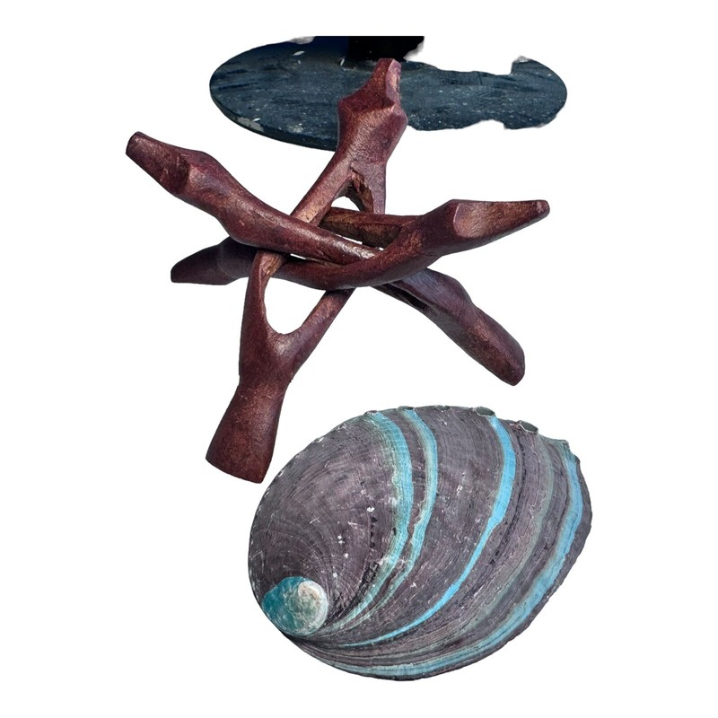 HUGE Abalone Shell & Tripod cobra Stand 6" inchs perfect Burning kit ~ FREE SHIP gallery