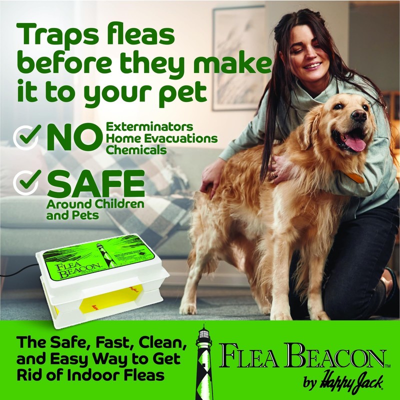 Happy Jack Flea Beacon Kill Fleas in House, Attracts, Traps 1 Pack, White gallery