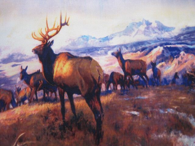 DIGATALLY PRINTED Poly/cotton Canvas OPEN RANGE ELK Placemats - 2 gallery