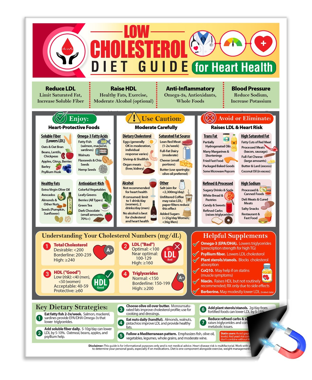 Low Cholesterol Diet Guide Magnet 8.5x11 Heart Health Food Chart gallery