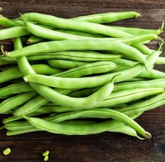 Burpee Stringless Green Pod Bush Bean – Fresh Seeds – NonGMO USA, Free Shipping!