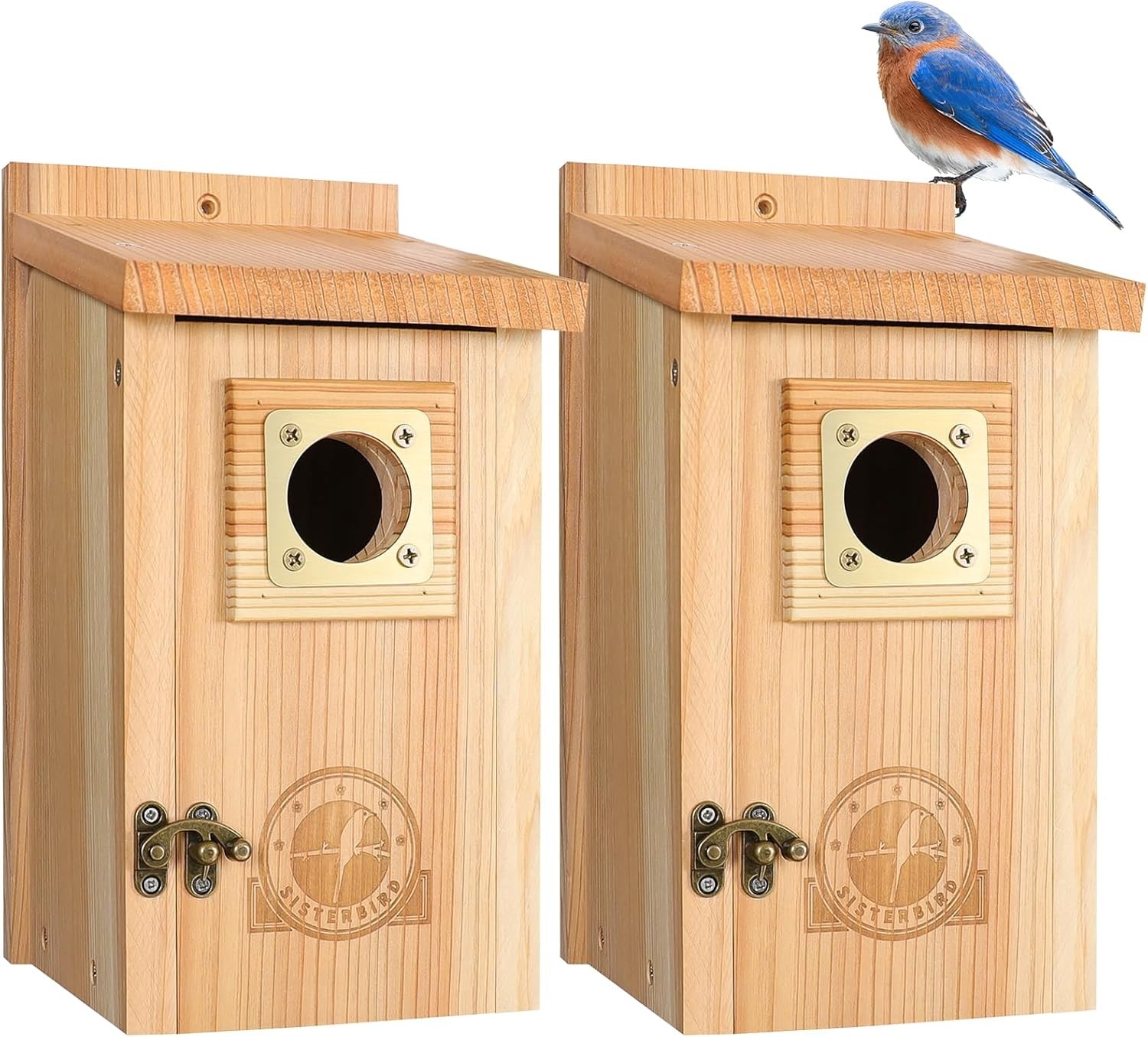 2 Pack Bird Houses Assembly Required gallery