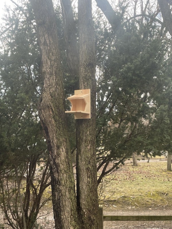 Pine Wood Robin Nesting Box~Dove Nesting Box~Cardinal Home~phoebe Nesting Box gallery