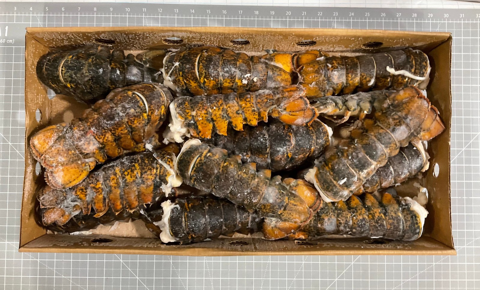 10 Lb Case Cold Water Lobster Tails 6oz-7oz Fresh Flash Frozen Wild by Nature gallery
