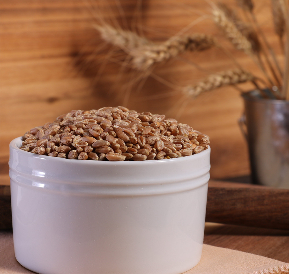 Organic Hard Red Wheat Berries - 3lbs gallery