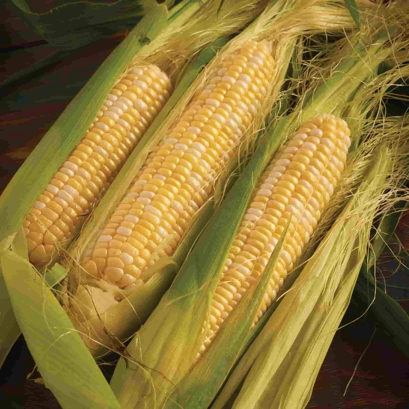 Peaches & Cream Corn Seeds | Non-GMO | Vegetable Seeds gallery