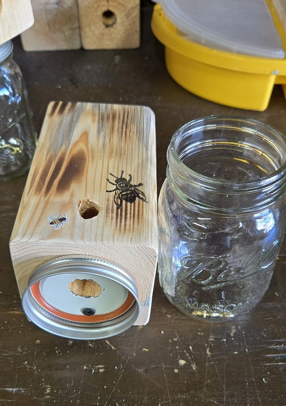 CARPENTER 'BORE' BEE TRAPS THAT WORK! gallery