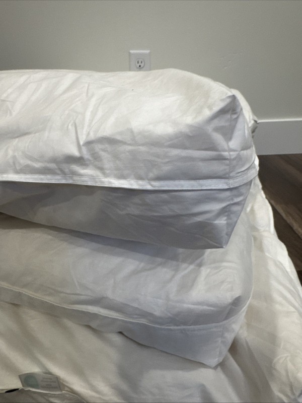 Pottery Barn Classic Featherbed - Full gallery