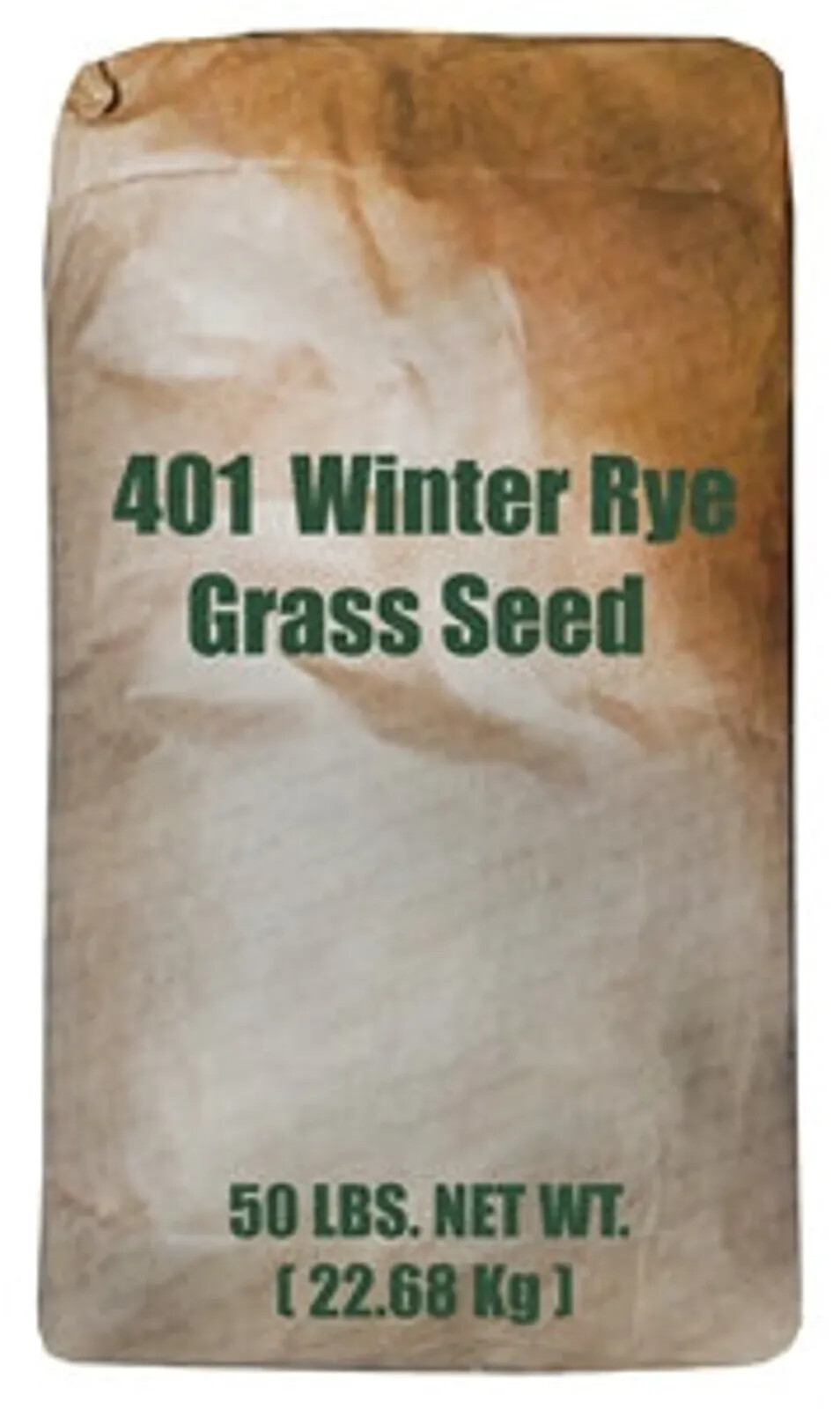 Florida 401 Winter Rye Grass Seed gallery