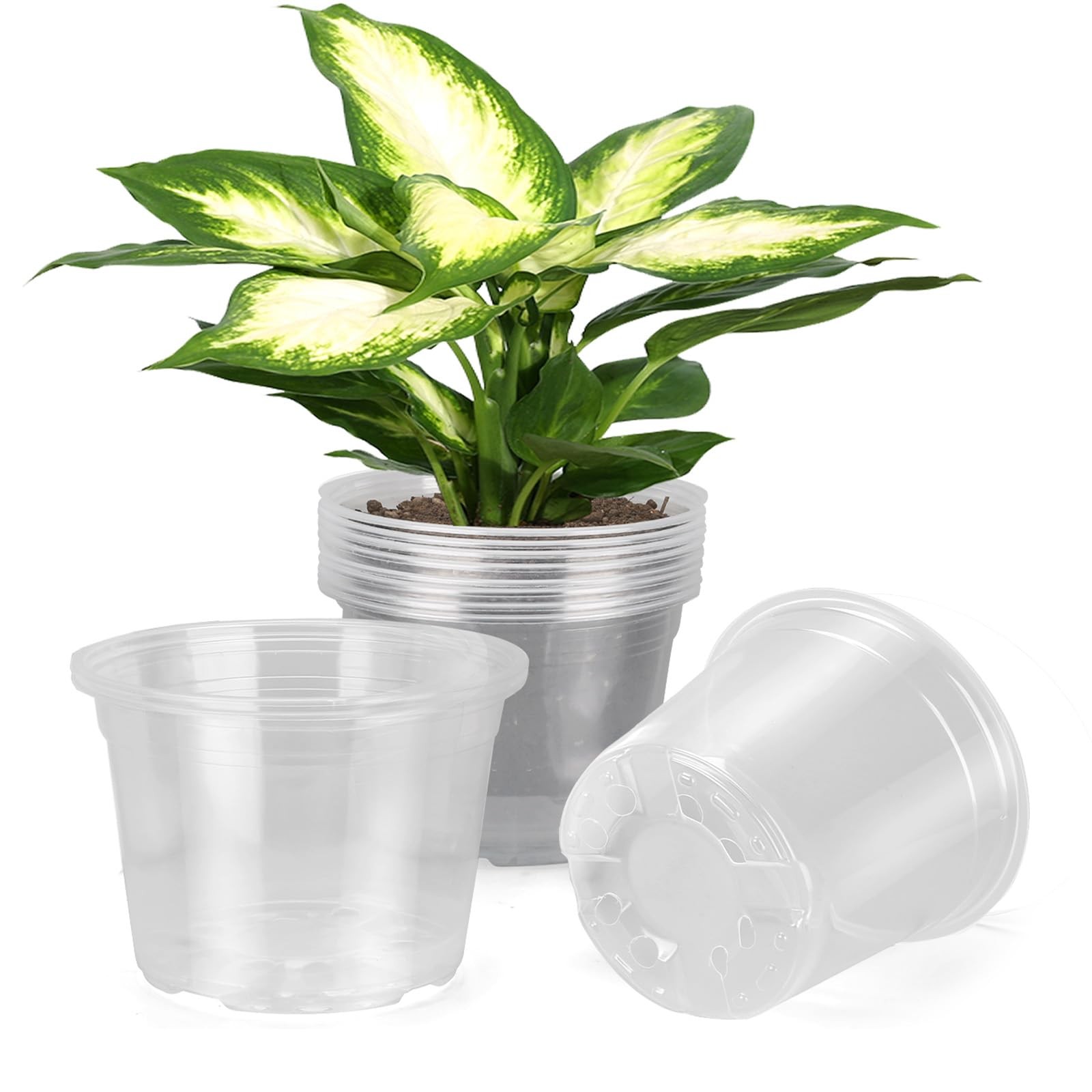 8 Inch Large Clear Nursery Pots with Drainage, 10 Pack Plastic Pots for Plants, gallery