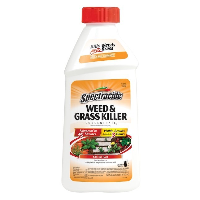 Spectracide Concentrate 16.0 -oz Concentrate Weed and Grass Killer gallery
