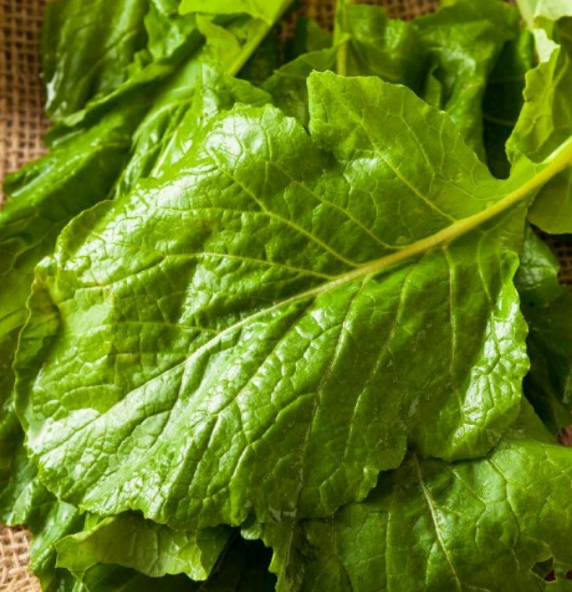 SEVEN TOP TURNIP Best Tasting Greens, Sprouting Heirloom Cool Non-GMO 250 Seeds! gallery