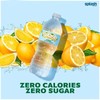 Splash Refresher Lemon Flavored Water, 16.9 Fl Oz, Plastic Bottle Pack of 6 gallery