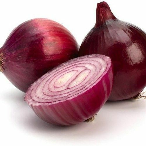 Red Burgundy Onion Seeds 250+ Vegetable Garden HEIRLOOM NON-GMO FREE SHIPPING gallery