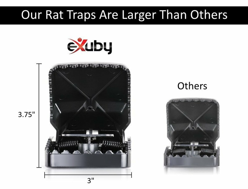 Large Powerful Rat Traps (24 Pack) - Kills Instantly with Powerful Steel Spring gallery